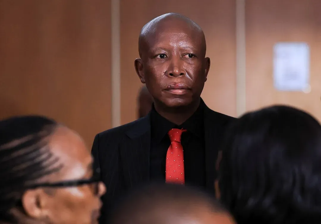 Julius Malema stands in the dock during a court hearing in KuGompo City, South Africa, on April 15, 2026