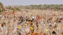 Fishermen competing in the Argungu cultural fishing festival on the Matan Fadan river in Kebbi State, northwestern Nigeria, February 2026