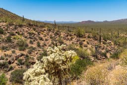 A panoramic desert landscape view from Gates Pass near Tucson, Arizona, showing cacti and mountain ridges at golden hour